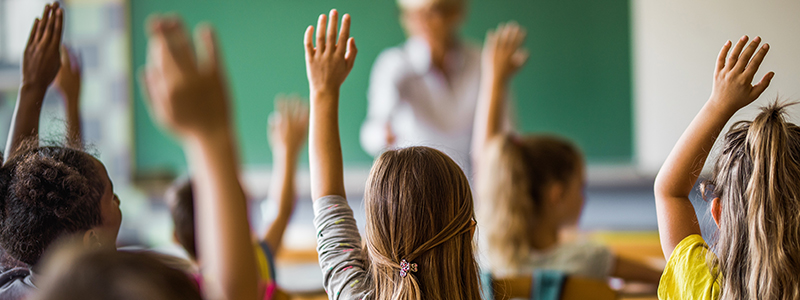 Students with one hand raised