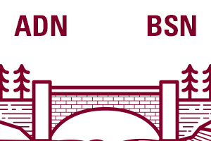 ADN BSN text over bridge