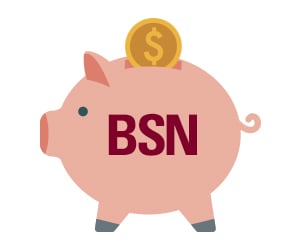 Piggy bank icon with BSN text